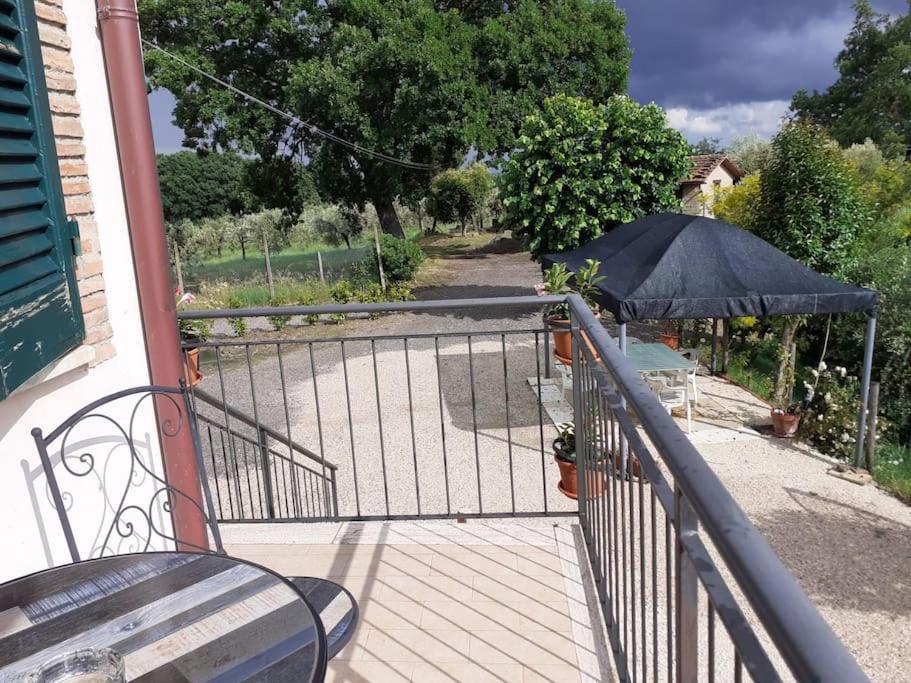 Costa Del Sole 42 Apartment Cetona Ngoại thất bức ảnh